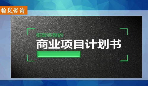 婁底電子商務項目計劃書專業策撰服務指南 找誰做更靠譜？